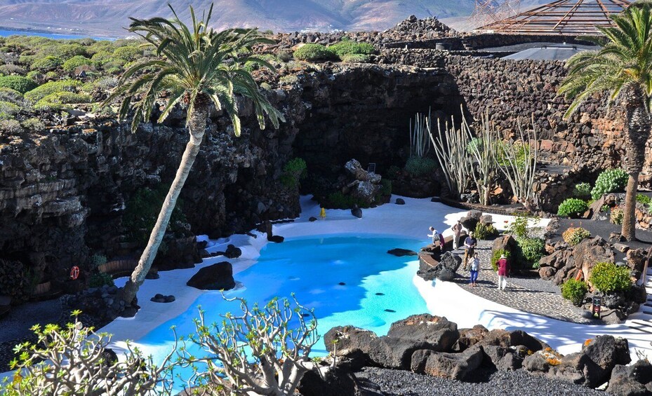 Lanzarote: Northern Half-Day Trip