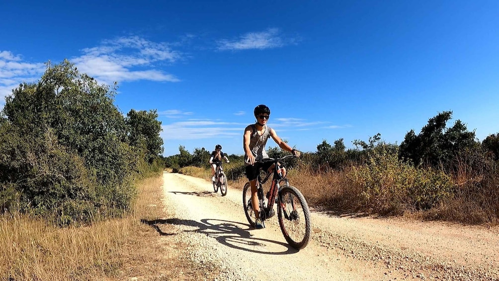 Picture 10 for Activity Pula-Vodnjan-Rovinj: E-Bike Tour with traditional dinner