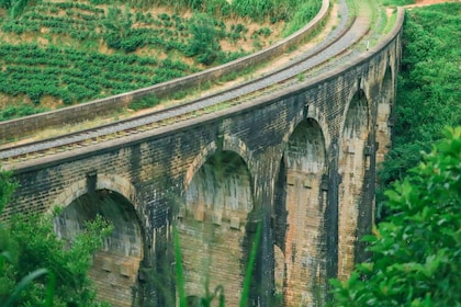 Visit nine arch bridge,ravana & diyaluma falls,safari