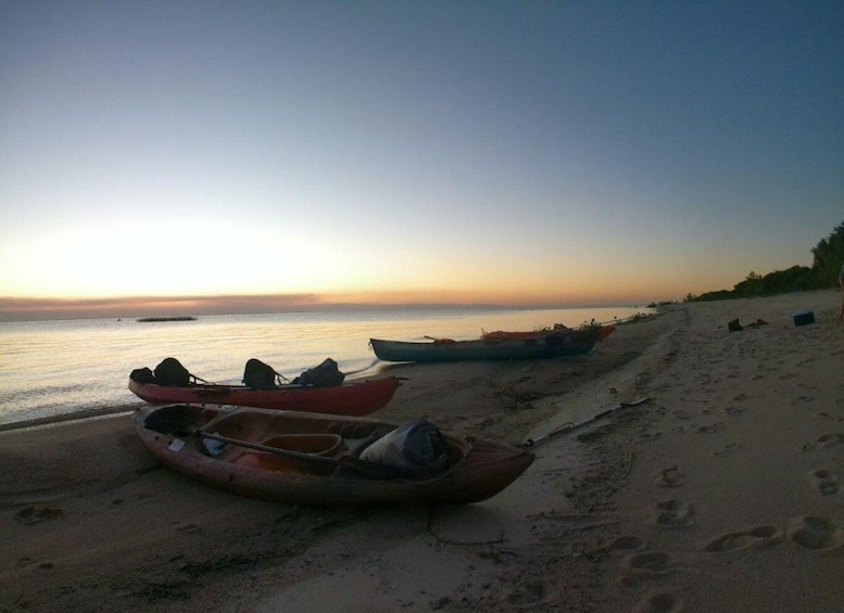 Picture 2 for Activity Kayaking Nature Experience - Day Trip from Colonia