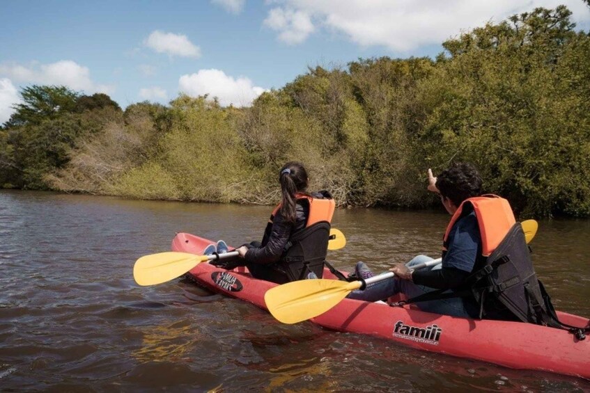 Picture 3 for Activity Kayaking Nature Experience - Day Trip from Colonia