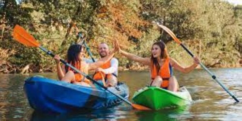 Naturerlebnis Kajakfahren - Tagesausflug ab Colonia