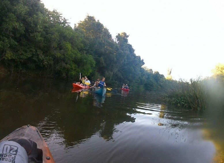 Picture 1 for Activity Kayaking Nature Experience - Day Trip from Colonia