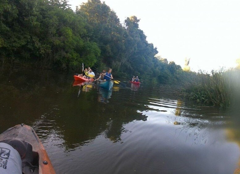 Picture 1 for Activity Kayaking Nature Experience - Day Trip from Colonia