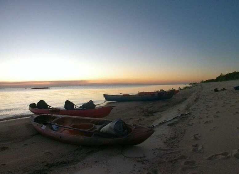 Picture 2 for Activity Kayaking Nature Experience - Day Trip from Colonia