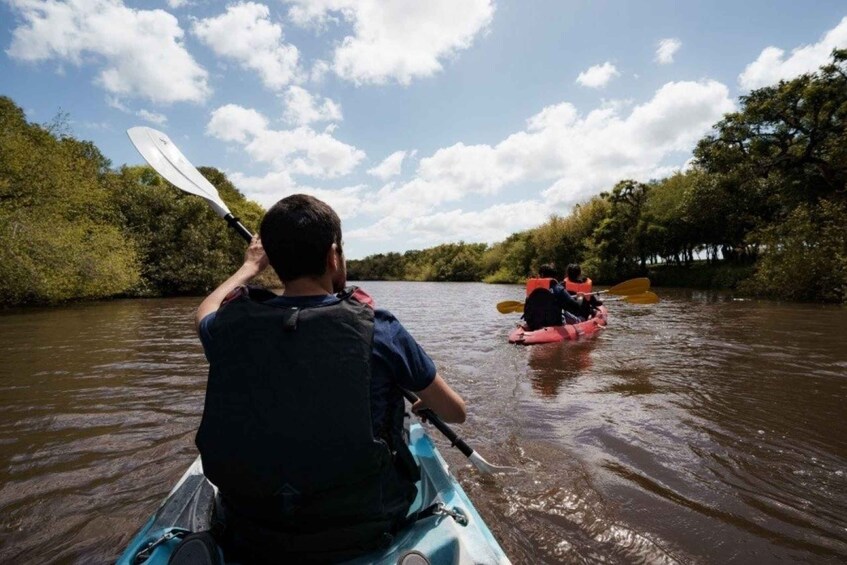 Picture 4 for Activity Kayaking Nature Experience - Day Trip from Colonia