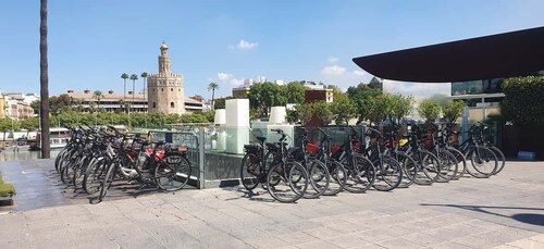 Sevilla: Sevilla: Opastettu kaupunkikierros E-bike Tour