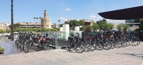 Sevilla: Geführte E-Bike Stadtbesichtigungstour