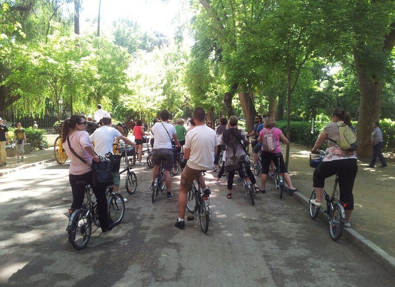 Picture 3 for Activity Seville: Guided City Sightseeing E-bike Tour