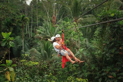 Ubud: Halbtägiges Zipline- und Dschungelschaukel-Abenteuer