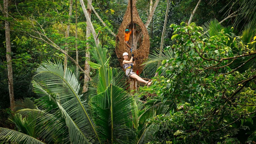 Picture 2 for Activity Ubud: Half-Day Zipline and Jungle Swing Adventure