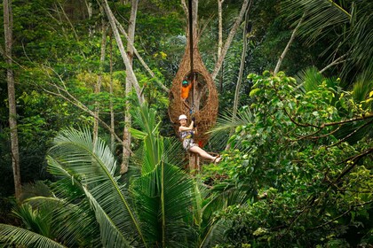 Ubud : demi-journée de zipline et de balançoire dans la jungle