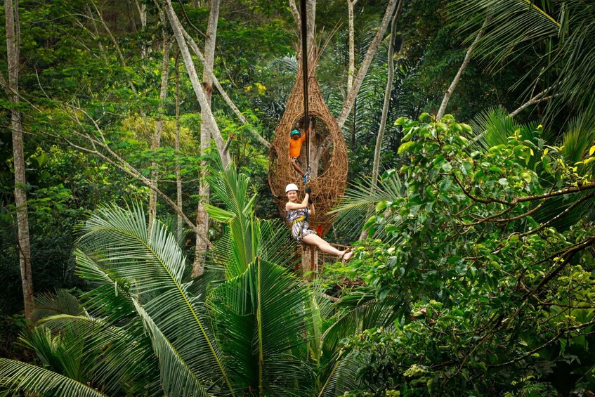 Picture 2 for Activity Ubud: Half-Day Zipline and Jungle Swing Adventure