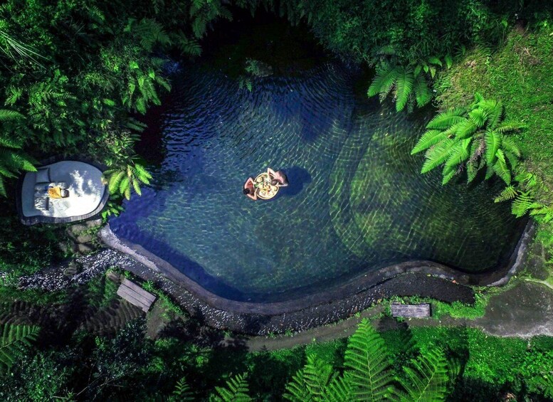 Picture 5 for Activity Ubud: Half-Day Zipline and Jungle Swing Adventure