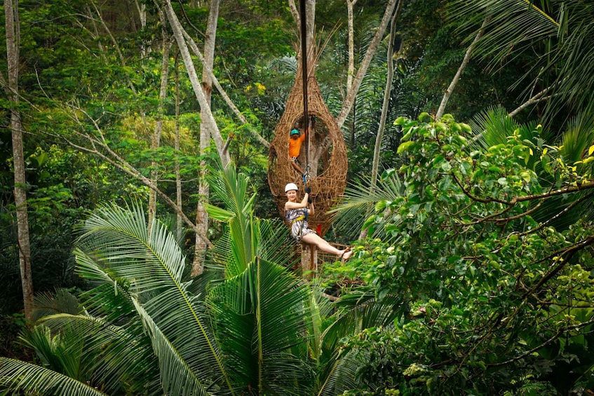 Picture 2 for Activity Ubud: Half-Day Zipline and Jungle Swing Adventure