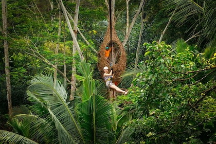 Ubud: Halvdags äventyr med zipline och djungelgunga i djungeln