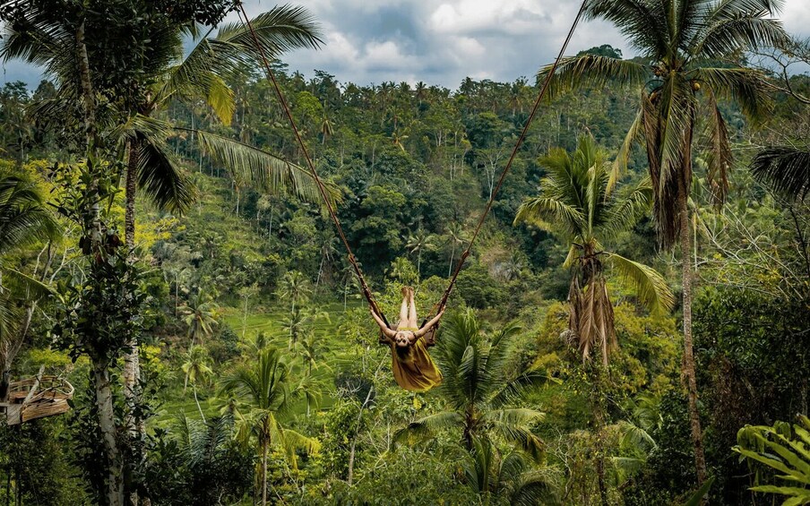 Picture 3 for Activity Ubud: Half-Day Zipline and Jungle Swing Adventure