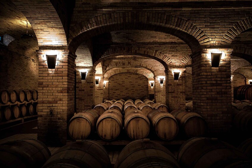 Picture 3 for Activity Sardinia: Winery Tour and Wine Tasting Experience