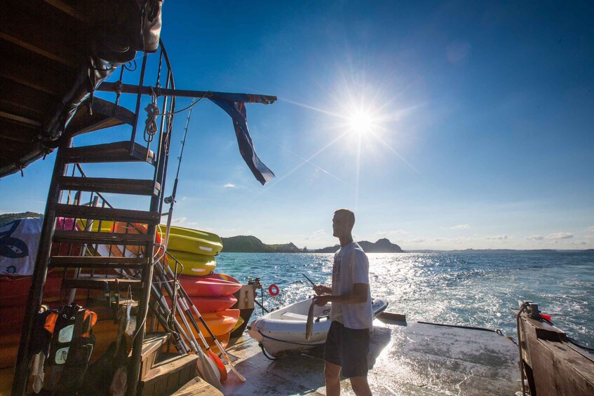 Picture 4 for Activity From Paihia: The Rock Adventure Overnight Cruise