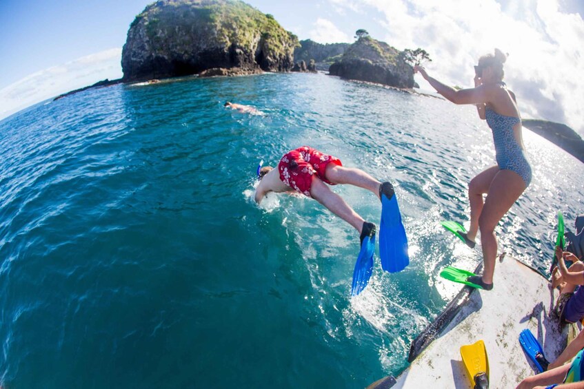 Picture 6 for Activity From Paihia: The Rock Adventure Overnight Cruise