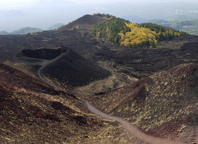 Picture 5 for Activity From Catania: Etna tour by Panoramic Bus