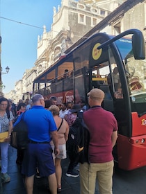 From Catania: Etna tour by Panoramic Bus