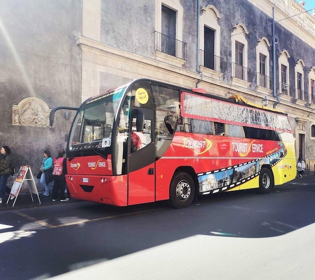 Picture 3 for Activity From Catania: Etna tour by Panoramic Bus