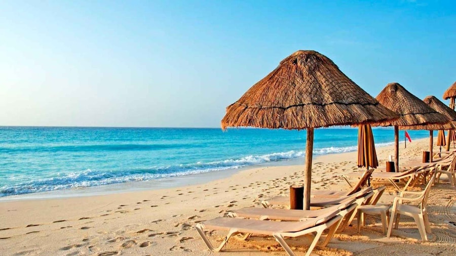 Piura: Adventure in Mancora with Underwater Turtle Encounter