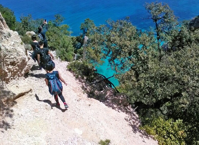 Picture 5 for Activity Guided hike to Cala Mariolu