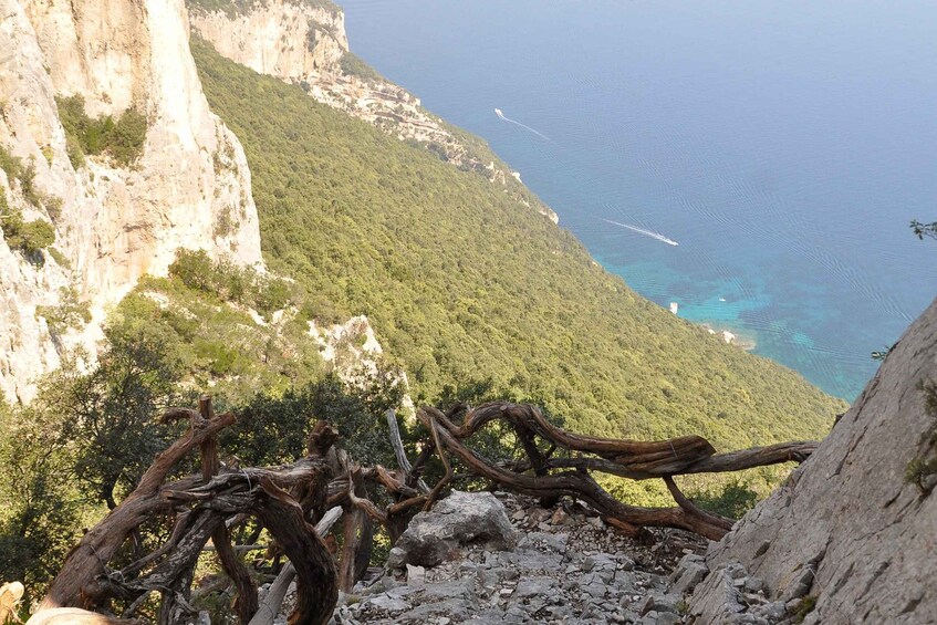 Picture 2 for Activity Guided hike to Cala Mariolu