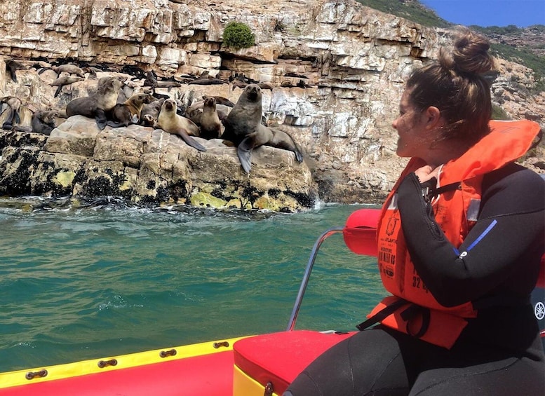 Picture 3 for Activity Plettenberg Bay: Seal Viewing Boat Trip