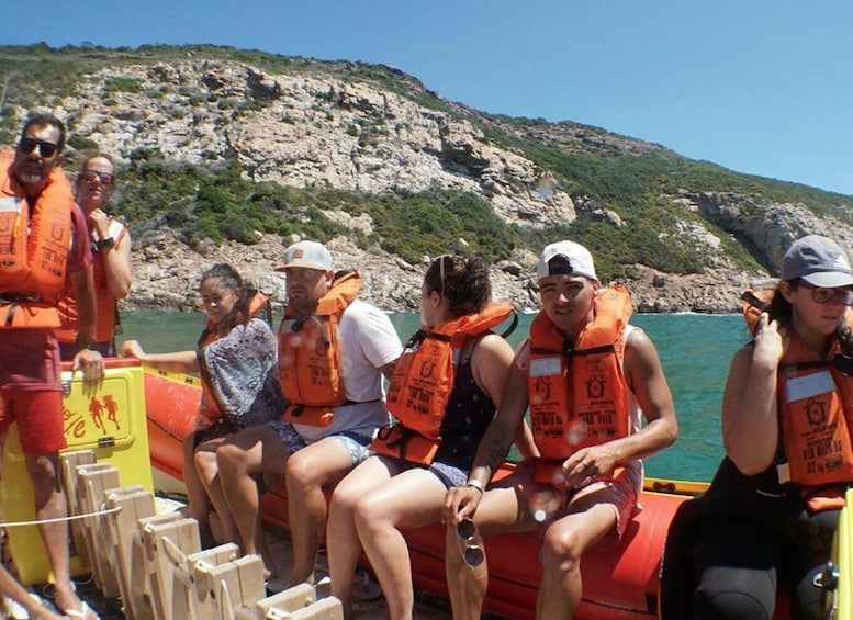 Picture 7 for Activity Plettenberg Bay: Seal Viewing Boat Trip