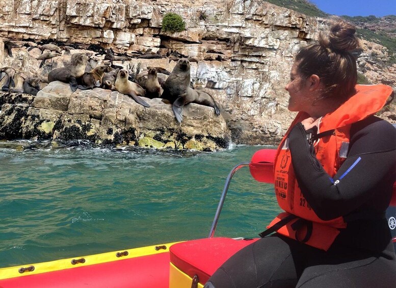 Picture 3 for Activity Plettenberg Bay: Seal Viewing Boat Trip