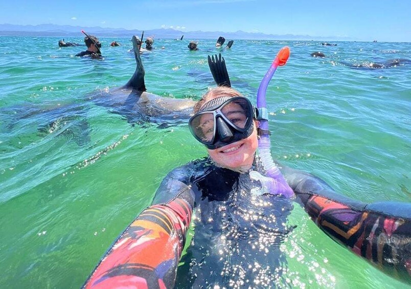 Picture 4 for Activity Plettenberg Bay: Seal Viewing Boat Trip