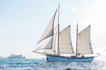 Marseille : Croisière à la voile dans le parc national des Calanques avec d...