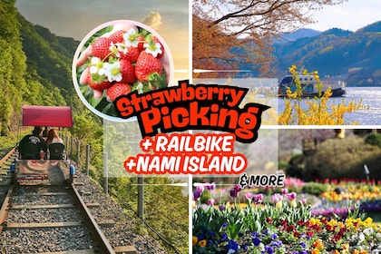 Seoul: Strawberry & Nami Island & Railbike (+ Korean Garden)