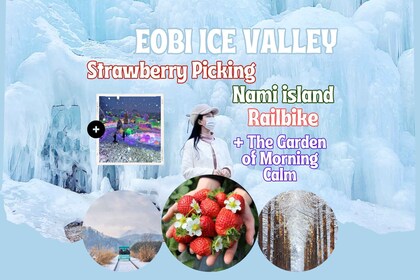 Seoul: Strawberry & Nami Island & Railbike (+ Korean Garden)