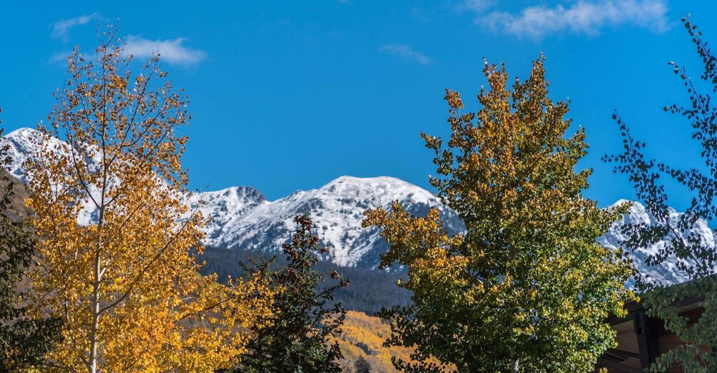 Picture 4 for Activity From Denver: Hike the Rockies Tour