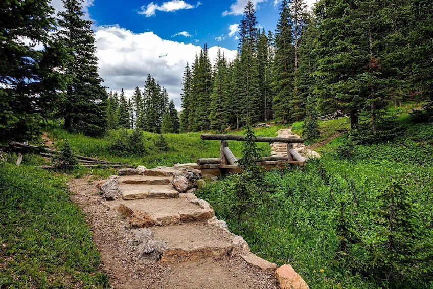 Picture 3 for Activity From Denver: Hike the Rockies Tour