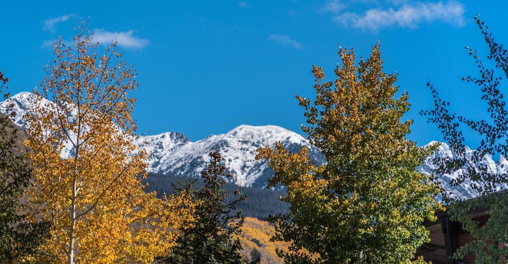 Picture 4 for Activity From Denver: Hike the Rockies Tour