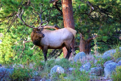 From Denver: Hike the Rockies Tour