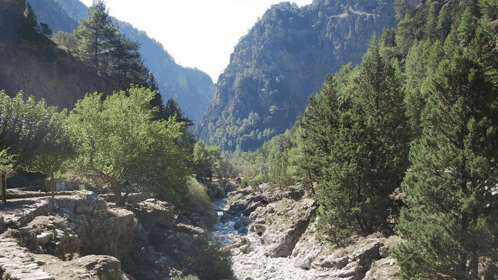 Picture 20 for Activity Tailored Samaria Tour That Nobody Will Believe. From Chania.