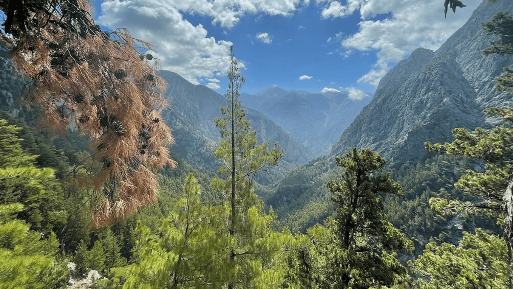 Picture 16 for Activity Tailored Samaria Tour That Nobody Will Believe. From Chania.