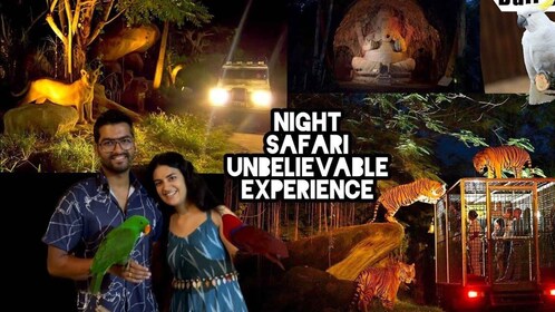 Bali Safari et Marine Park Transfert de nuit aller-retour seulement