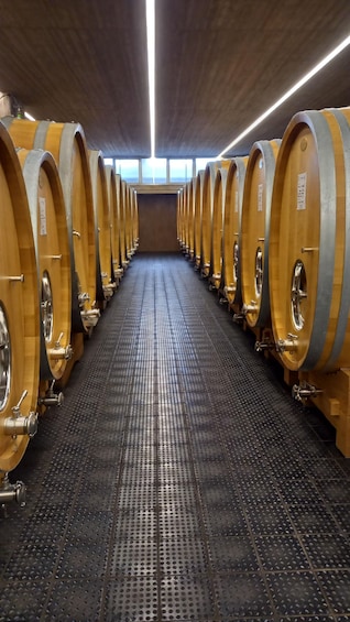Picture 1 for Activity Barolo Langhe Wine Tour