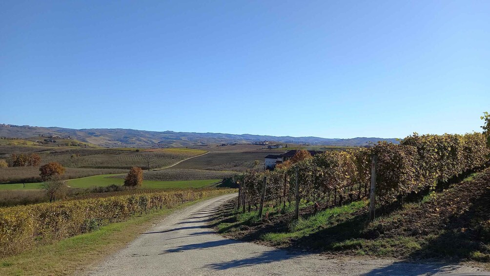 Picture 3 for Activity Barolo Langhe Wine Tour