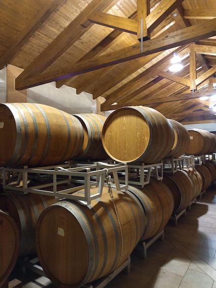Picture 6 for Activity Barolo Langhe Wine Tour