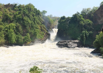 Uganda Art, with Wildlife in Murchison Falls National Park