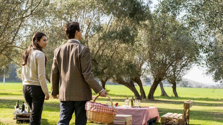 Abruzzo: Country Picnic in an Olive Grove at a Winery