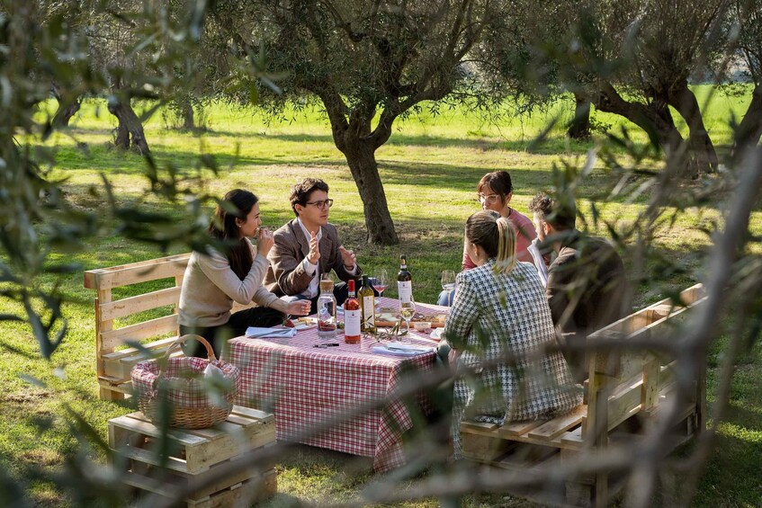 Picture 7 for Activity Abruzzo: Country Picnic in an Olive Grove at a Winery